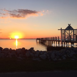 Wednesday Wanderings and Things to Brighten Your&nbsp;Day