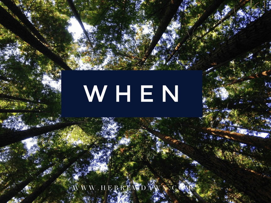 When Did You Get So&nbsp;Big?