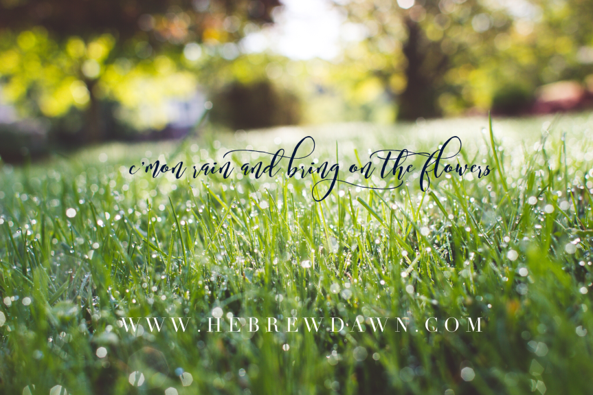 April Showers Bring May&nbsp;Flowers