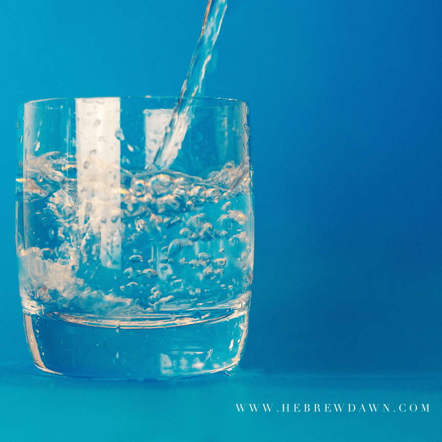 HebrewDawn: Soda Water's Not Bad for You