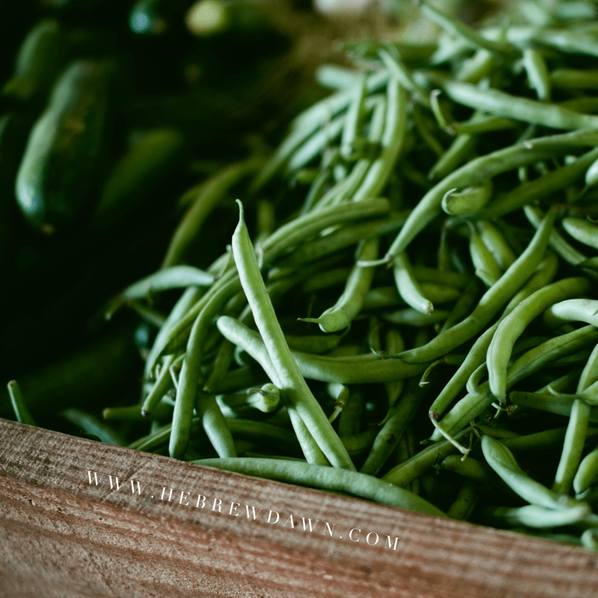 HebrewDawn: Friday Favorites - May 20, 2016