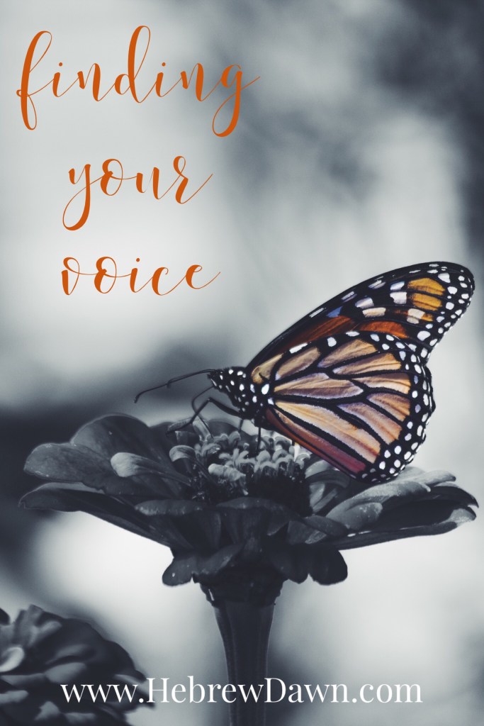 HebrewDawn: silence is no longer an option