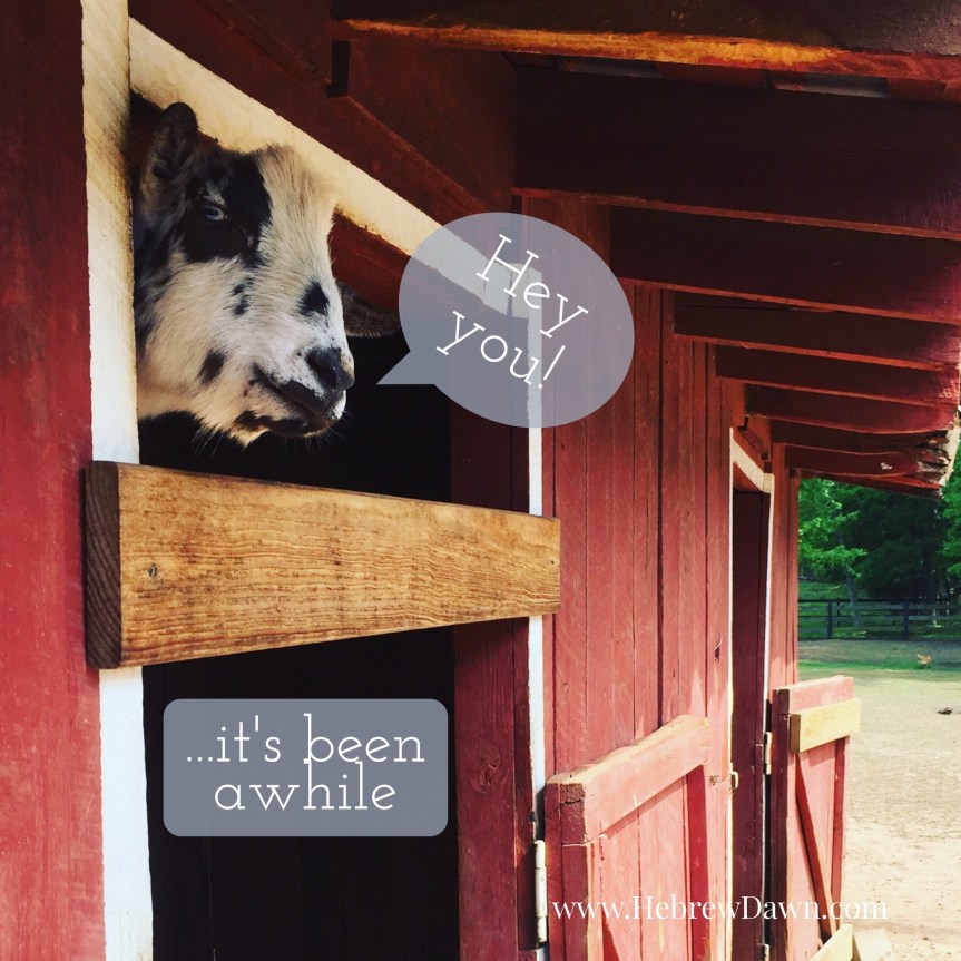 HebrewDawn: the long silence