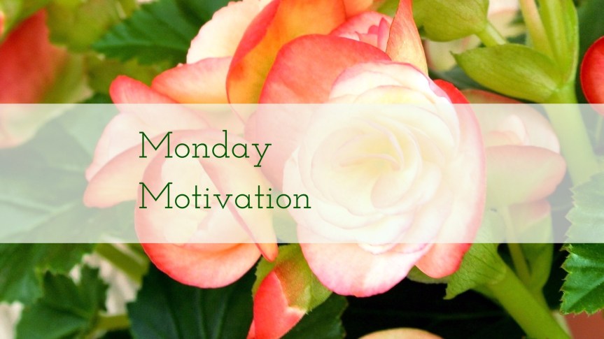 t﻿here is good in this&nbsp;world