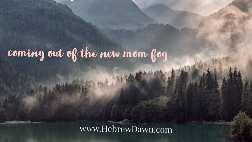 HebrewDawn: coming out of the fog 