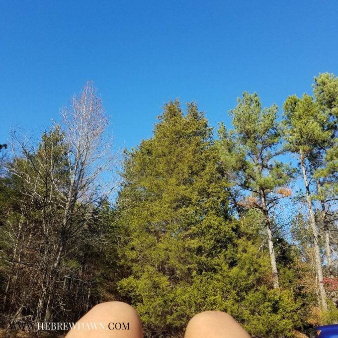 HebrewDawn: the lies we tell ourselves 